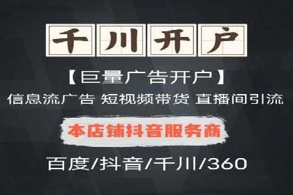 SEM投放策略优化案例分析